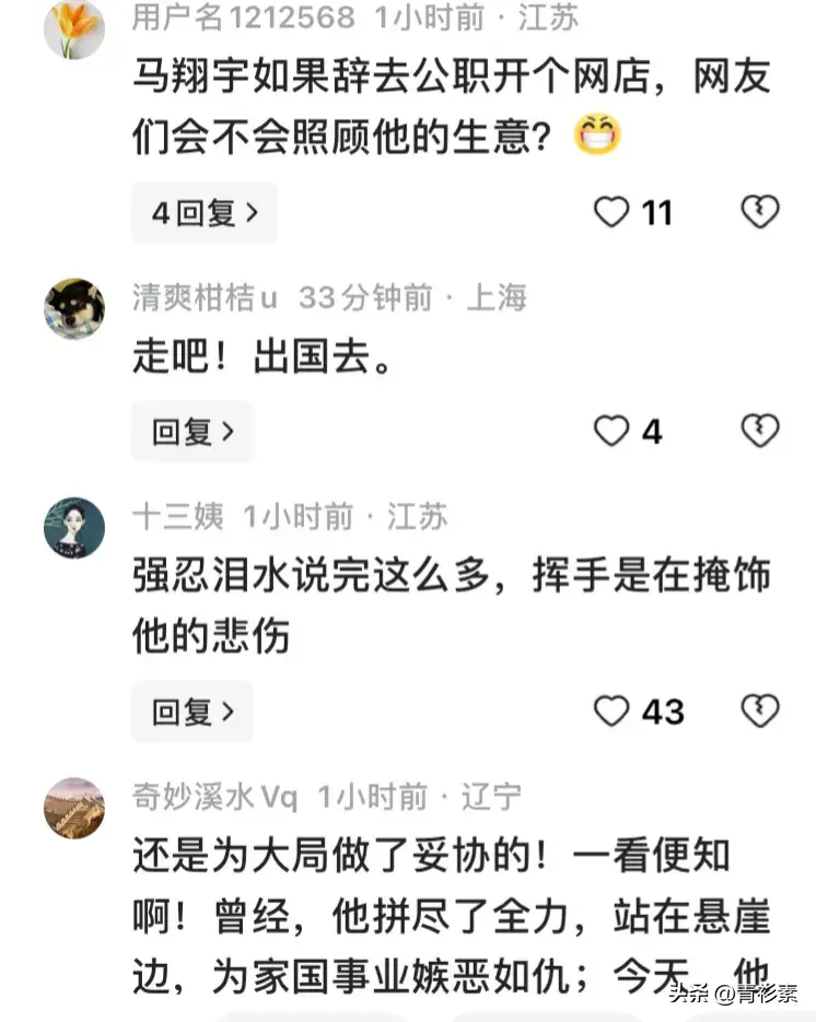 马翔宇事件，官方通告已出，尘埃落定，未来的他何去何从？