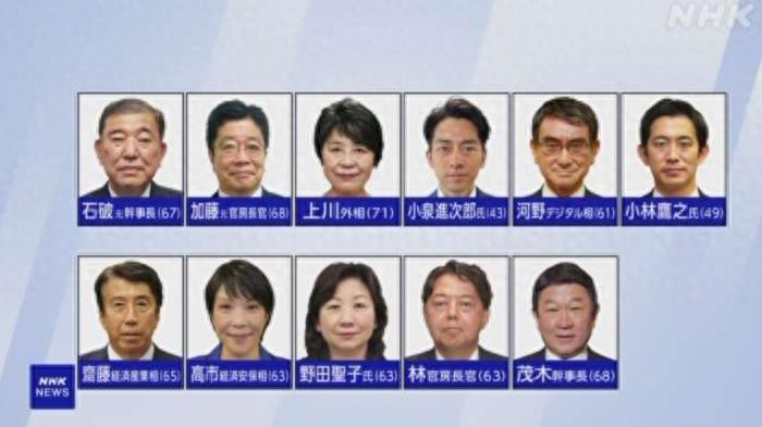 日本新首相人选9月27日产生 已有11人将角逐日本自民党总裁