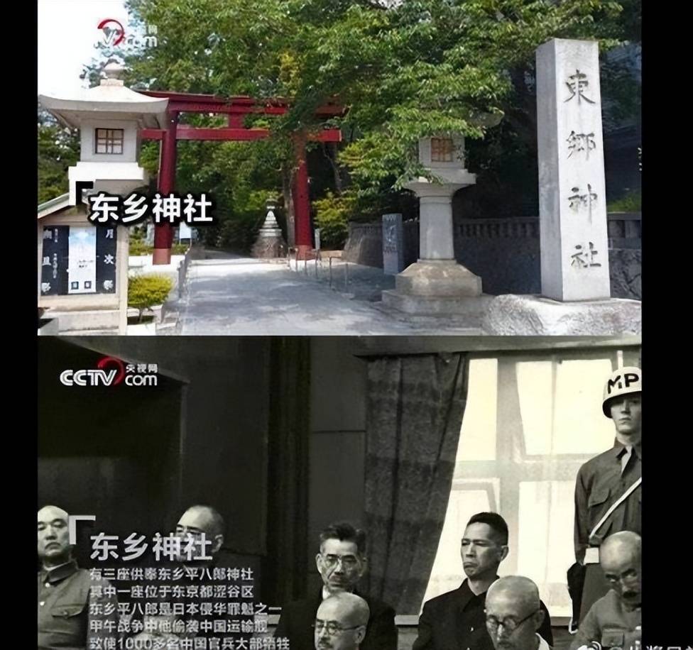 张本智和回国待遇遭受冷落，回去就去参拜东乡神社，还曾说没忘本