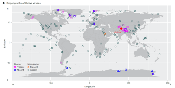 古里雅冰川中发现超过1700种古病毒：它们对人体有威胁吗